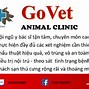 Hình Ảnh Của Thú Y Go Vet