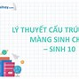 Màng Sinh Chất Nằm Ở Đâu