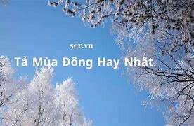 Những Ca Khúc Về Mùa Đông Hay Nhất