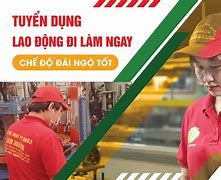 Tuyển Dụng 24H Gia Lai